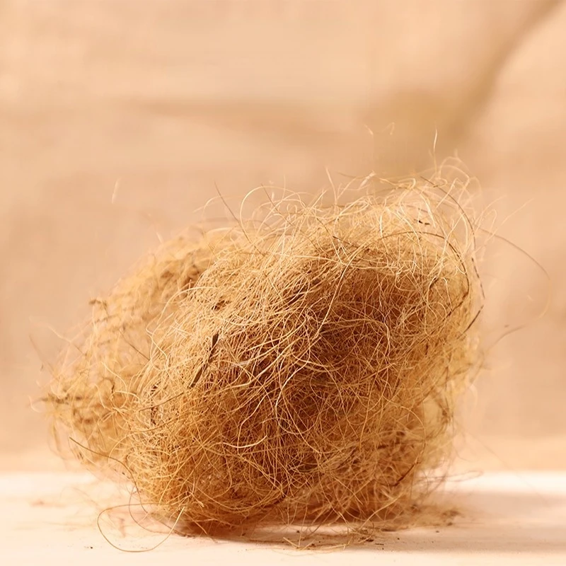 100g 핀치 코코넛 섬유, 새장용 느슨한 깔짚, 앵무 - Substrate Coconut Fiber 리뷰 및 가격